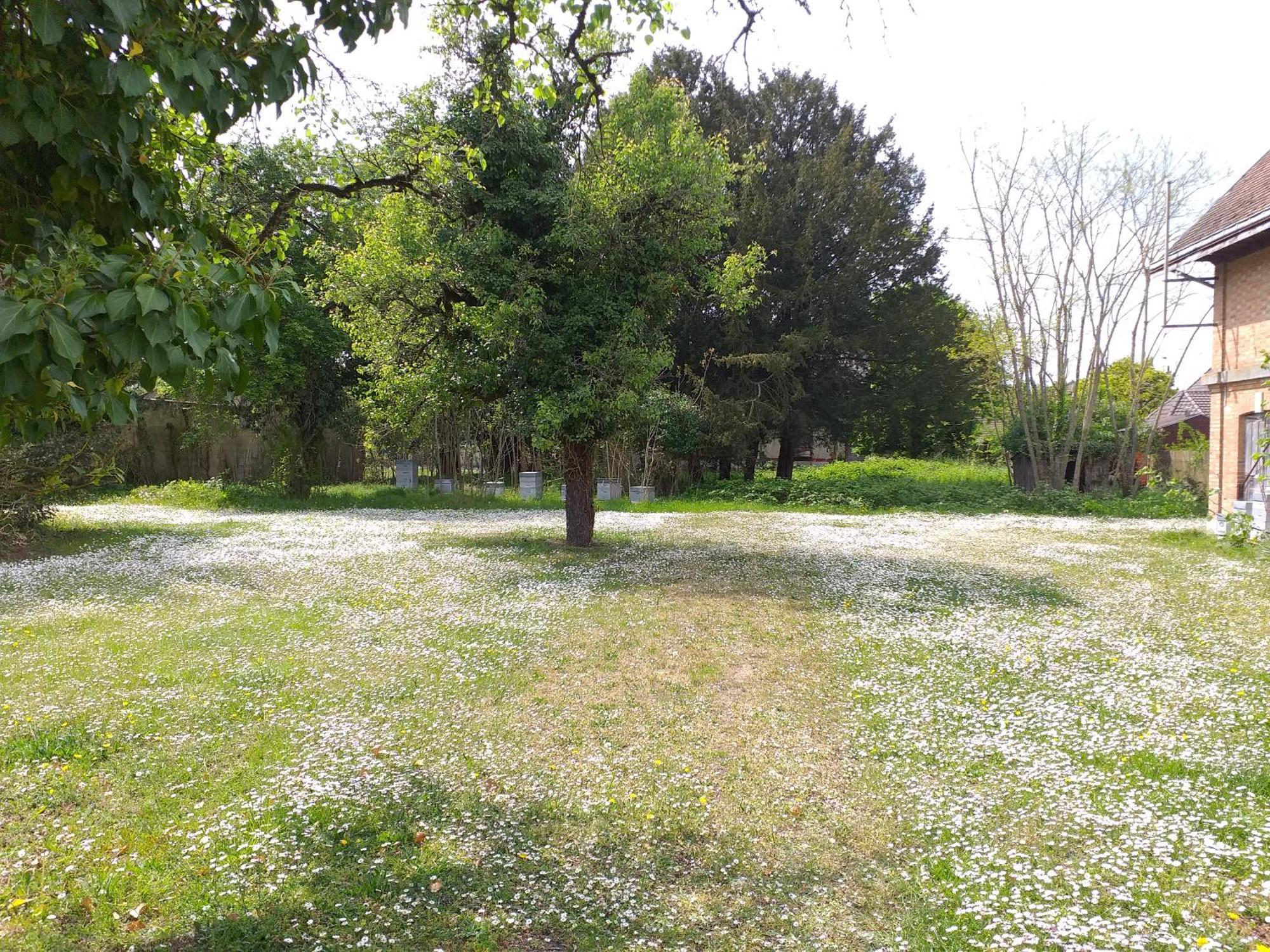 Charmante Maison Vitry-le-Francois Luaran gambar